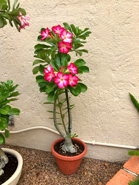 Beautiful Nature image