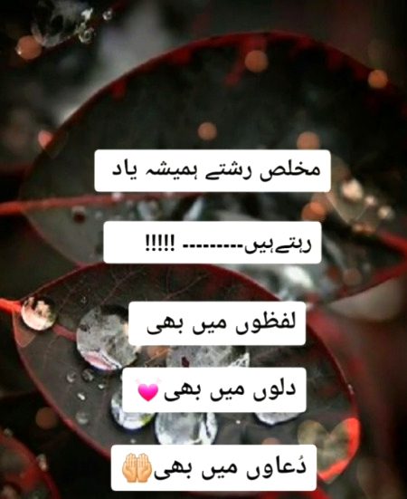 Aksar nadan log esy mkhlis logon ko thokr marty hn🖤🥀