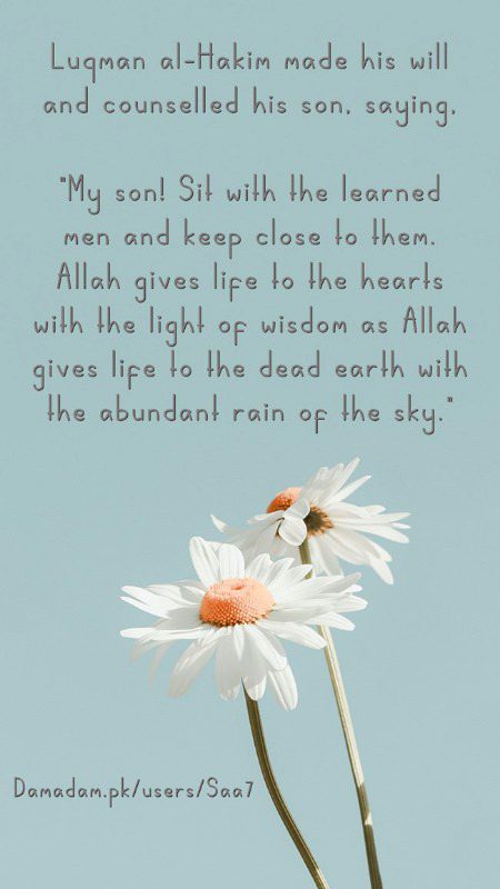 Islamic Quotes image