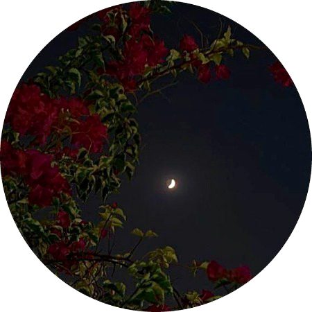 Beautiful Nature image