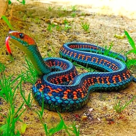 Beautiful Nature image