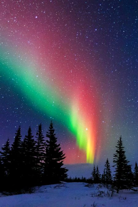 Beautiful Nature image