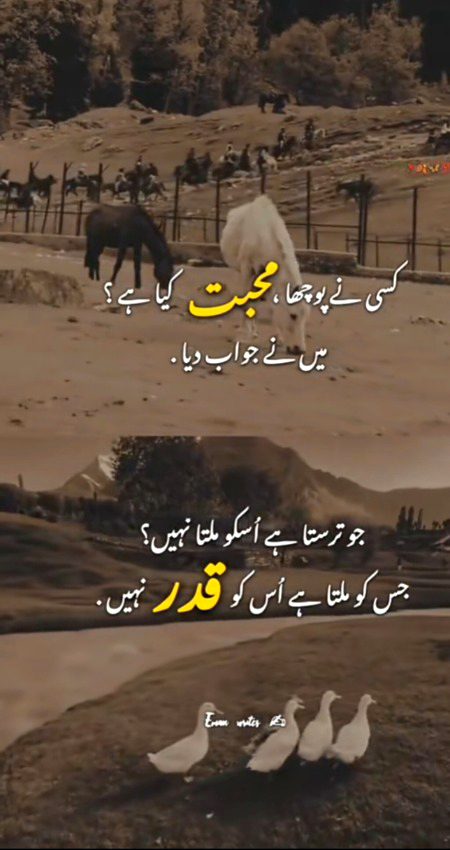 Sad Poetry image
