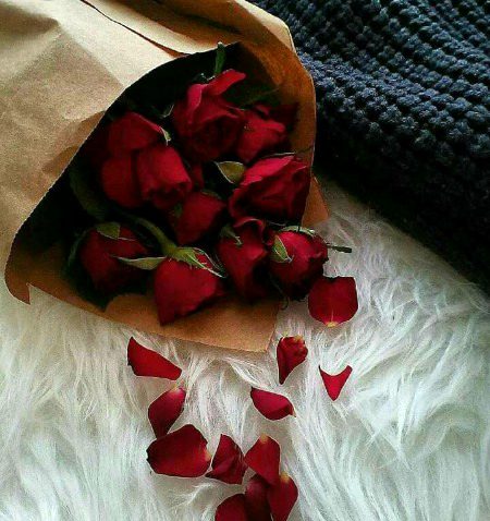 For you khroooos 🌹