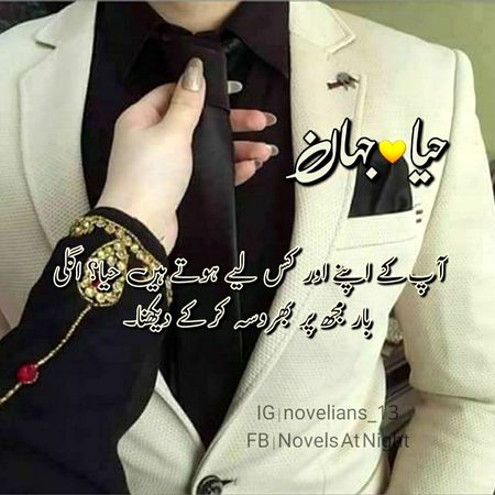 Romantic Novels image