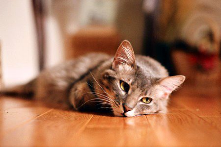 Beautiful Nature image