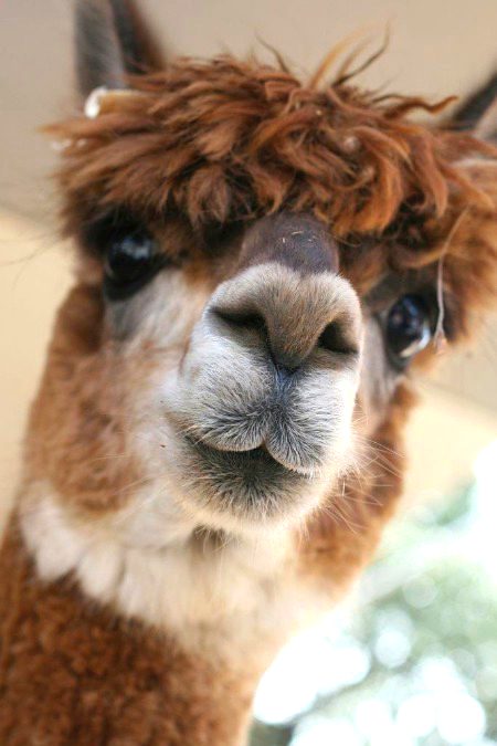 Beautiful Nature image