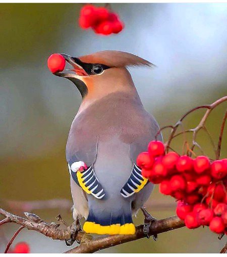 Beautiful Nature image