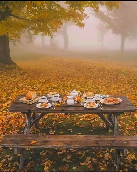 چلو آؤ！！💞
کسی پہاڑ کے دامن میں زرد پتوں سے ڈھکے کسی بینچ پہ بیٹھ کر چائے پیتے ہیں！！  آؤ زندگی جیتے ہیں 🥀💞