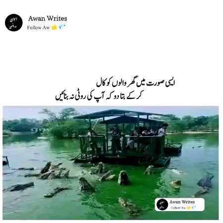 Memes & Satire image