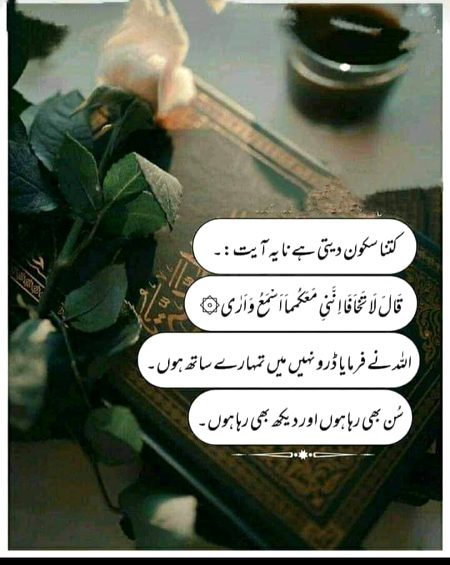 السلام علیکم صبح بخیر