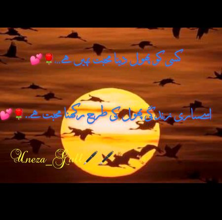 Romantic Poetry image