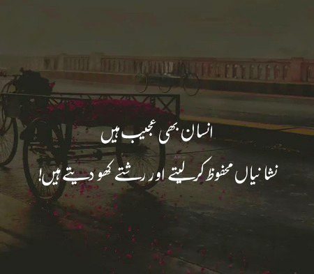 No option