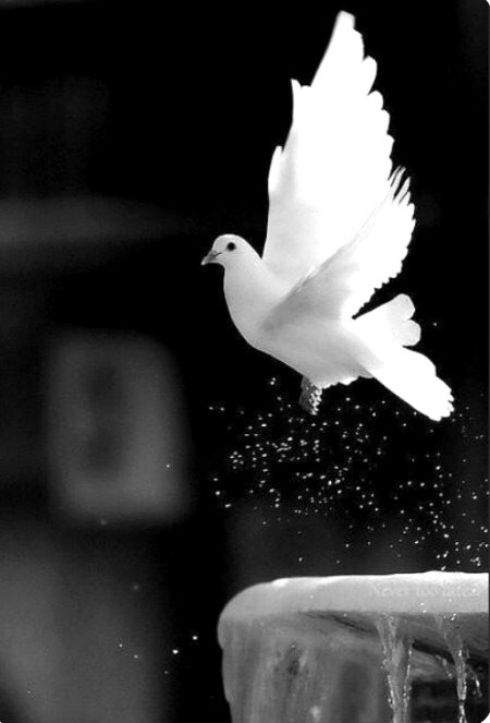 Beautiful Nature image
