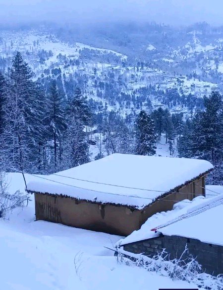 Beautiful Nature image