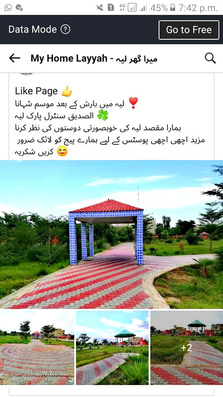 Layyah sadeeq central park