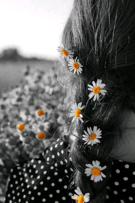 reza reza kar diya jis ne mire ehsas ko
kis qadar hairan hai vo mujh ko yakja dekh kar