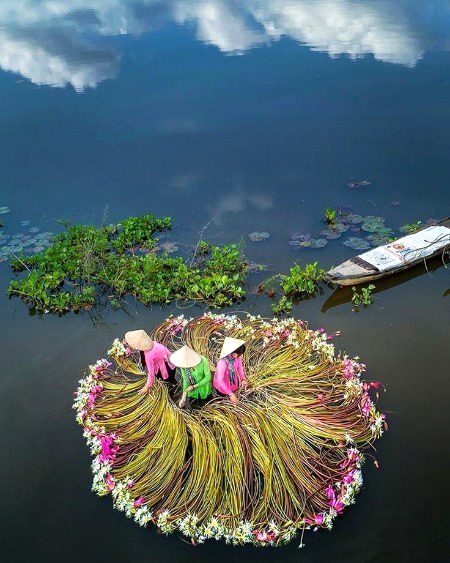 Beautiful Nature image