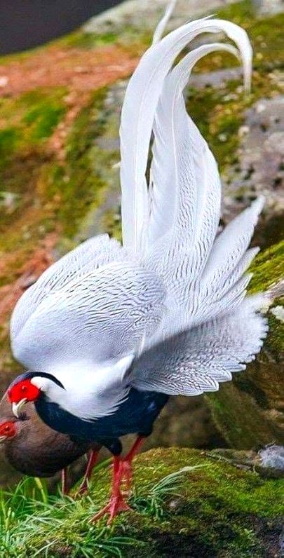 Beautiful Nature image