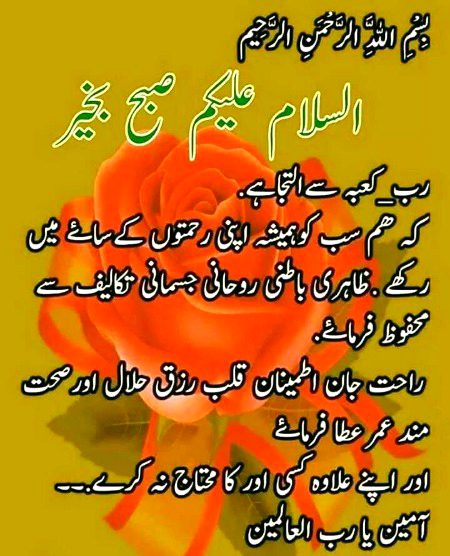 اسلام وعلیکم ۔سب کیسے ہیں؟