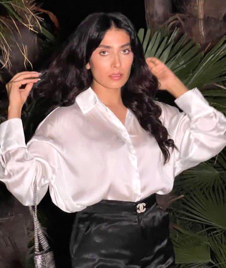 Pakistani Celebs image