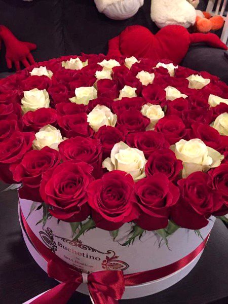 Beautiful Nature image