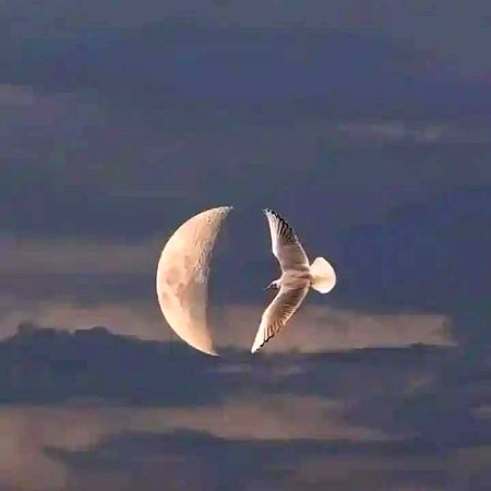 اگر آپ کا دوسرا "نصف" غائب ہے...!!!
تب بھی اپنے خلا کو عارضی لوگوں سے نہ بھرنا