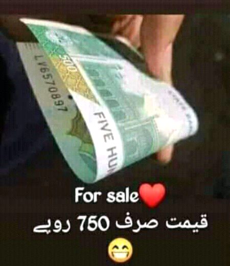 Memes & Satire image