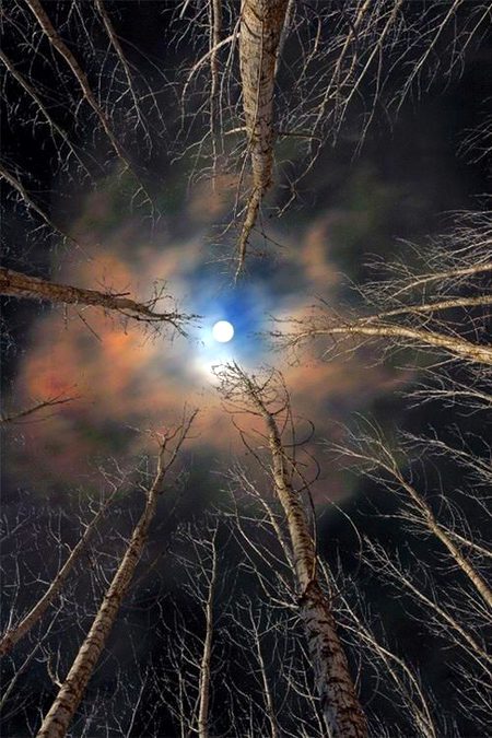 Beautiful  ❣️❣️