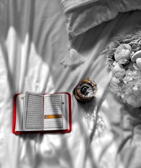 *جو قرآن سے جڑ جاتا ہے،*
*وہ زندہ ہو جاتا ہے، اسے زندگی مل جاتی ہے* ❤
*اس کے قلب کو روشنی اور نور مل جاتا ہے،*،
*اس کے دل و دماغ کو سوچنے سمجھنے کا درست راستہ مل جاتا ہے،*،
*اس کی روح کو سکون مل جاتا ہے،*،
*اسے جینے کا اصل مقصد مل جاتا ہے،*،