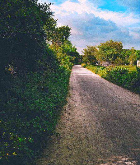 Beautiful Nature image