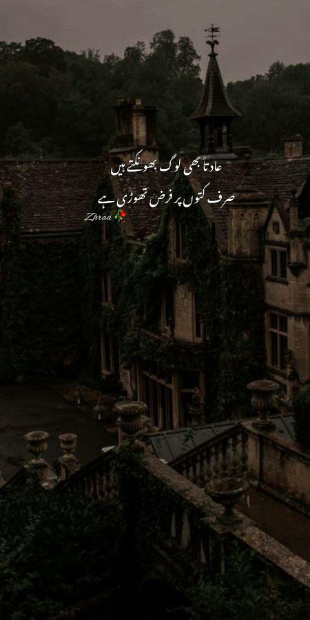 Attitude Poetry image