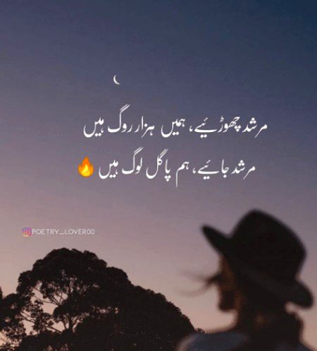 Attitude Poetry image