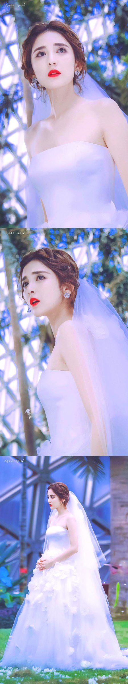 Beautiful Nature image