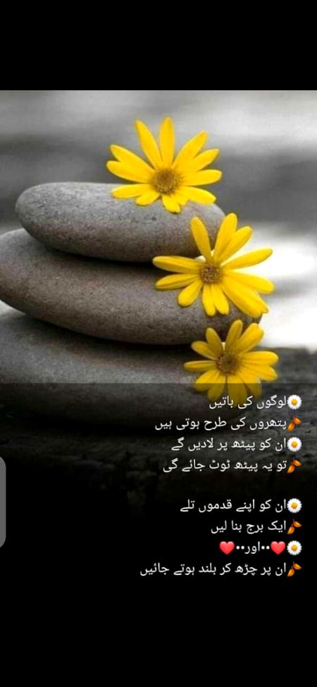 Motivational Quotes image