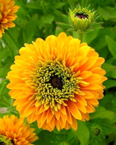 Beautiful Nature image