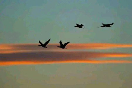 Beautiful Nature image
