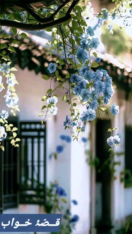 Beautiful Nature image