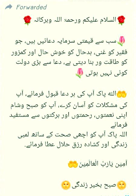 Morning ❤️❤️
