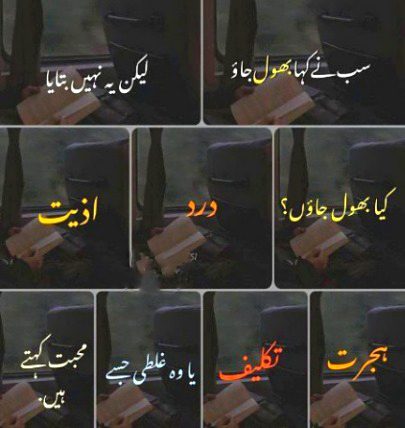 I Hate Love..💔