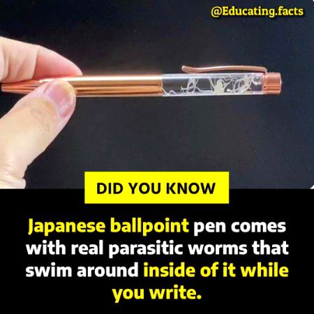 Interesting Posts image