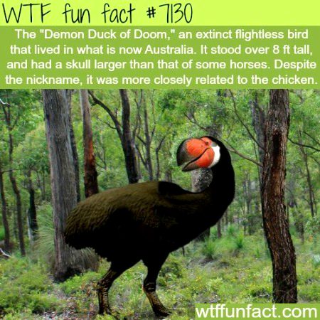 Interesting Posts image