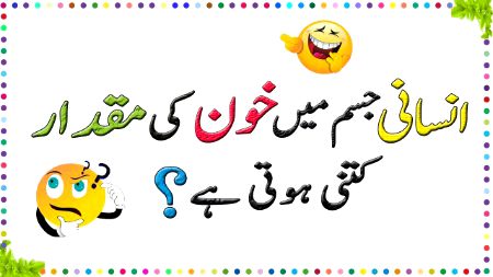 Knowledge Test image