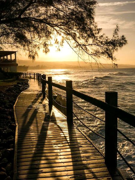 Beautiful Nature image