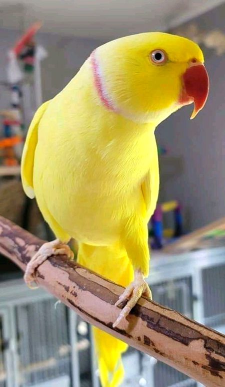 Beautiful Nature image