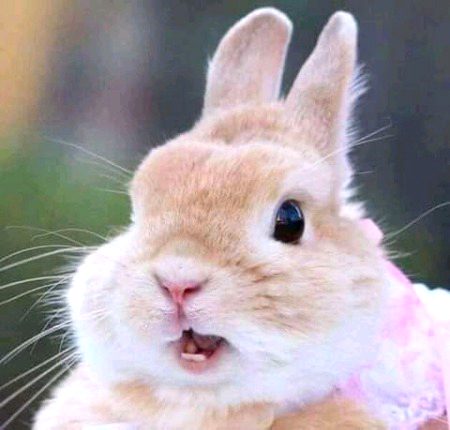 Beautiful Nature image