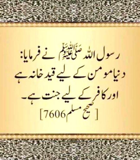 Islamic Quotes image