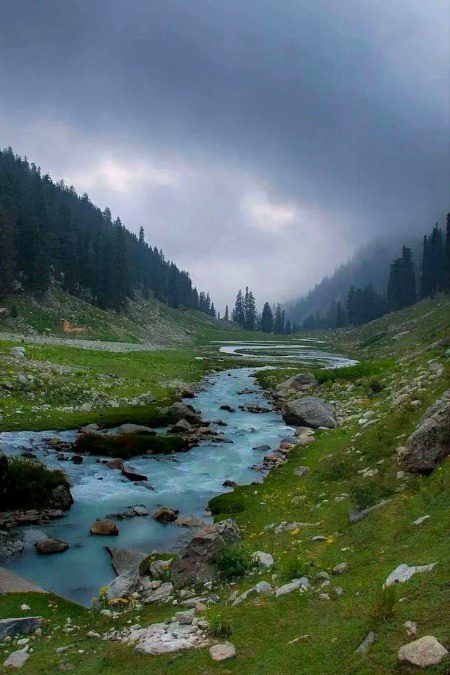 Beautiful Nature image