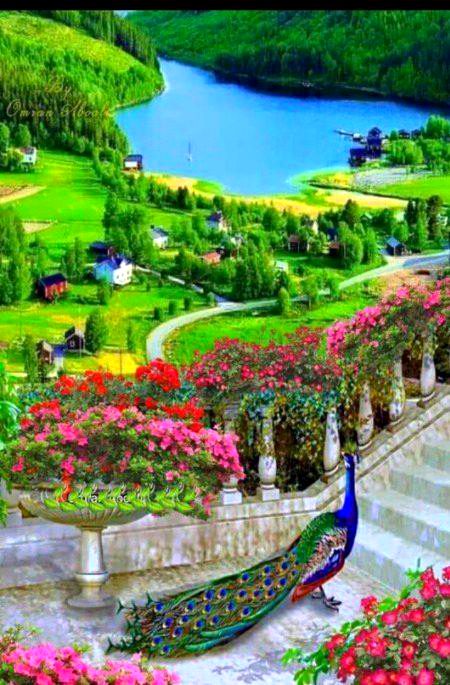 Beautiful Nature image