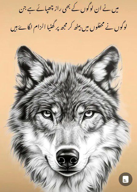 Attitude Quotes image